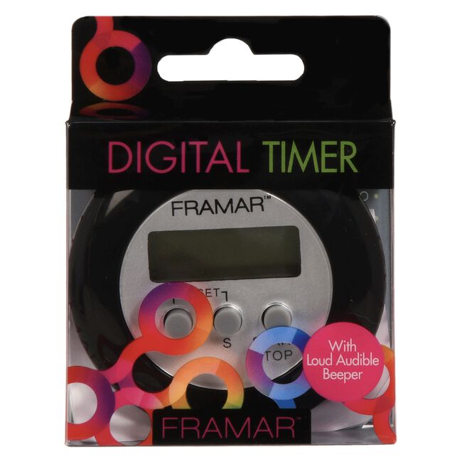 Digital Timer