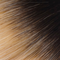 #4/14 Ombre Chocolate/Champagne