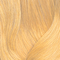 10CG Copper Gold