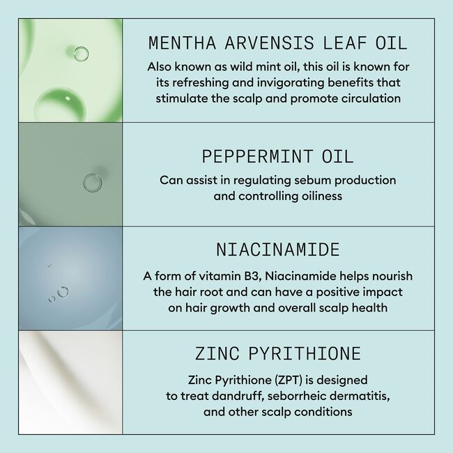 Scalp Recovery Kit