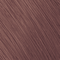 8BV Light Beige Violet Blonde