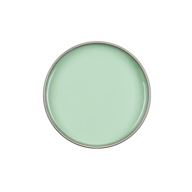 Aloe Vera Wax