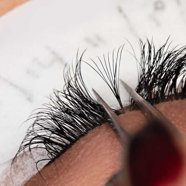O.G. Lashes: Pre-Made Fans 10D CC 0.05 7-15mm