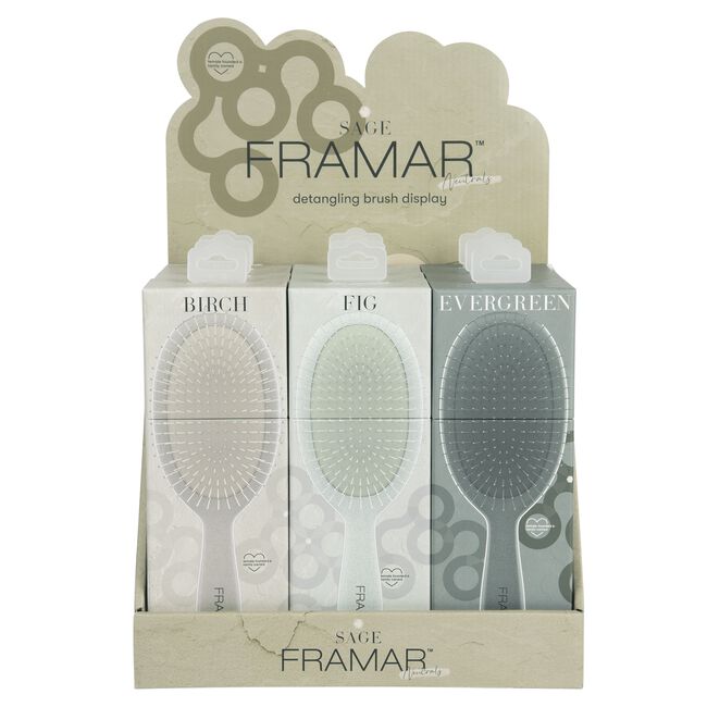 Neutrals Sage Detangle Brush Display