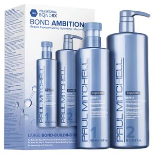 Bond Rx Professional Bond-Building Treatment Large Kit