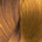 Light Golden Blonde