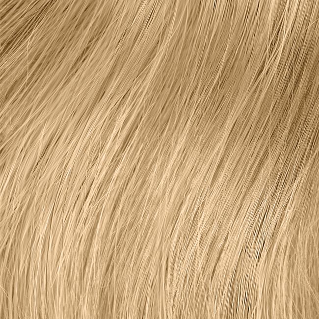 9GBE Gold Beige The Demi Demi-Permanent Hair Color