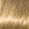 01N Champagne Blonde