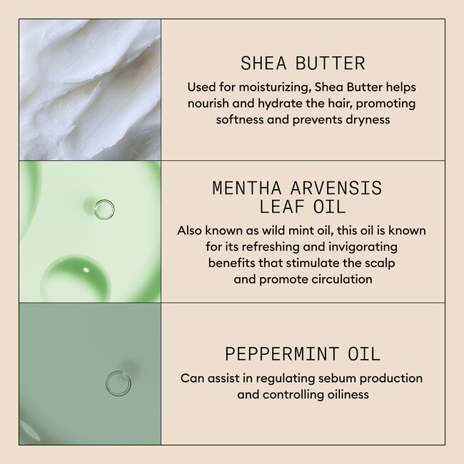 Purifying Exfoliator