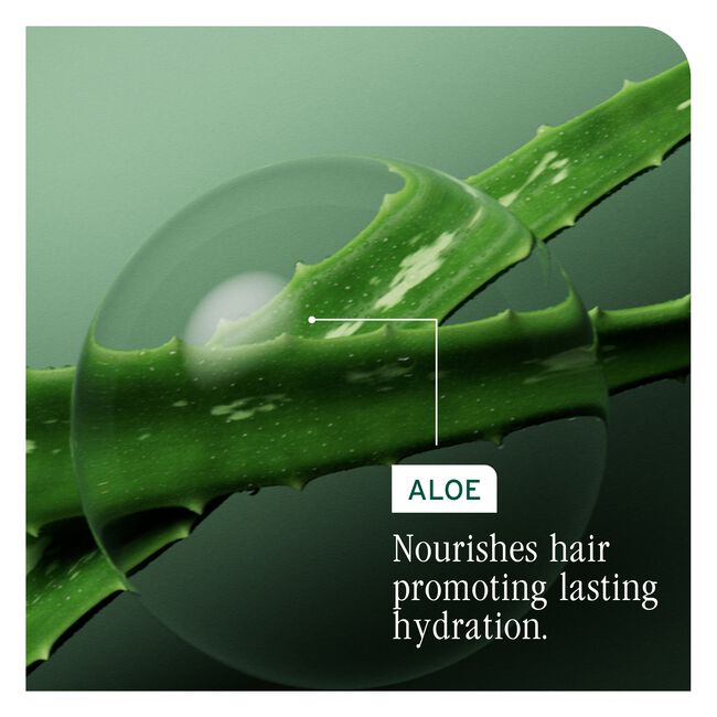 HydraSource Shampoo Refill for Dry Hair