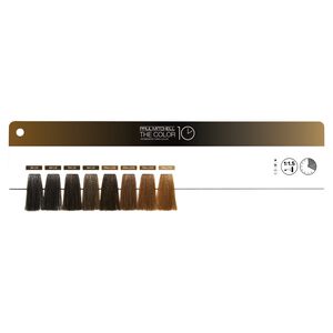 The Color 10 Swatch Ring Insert