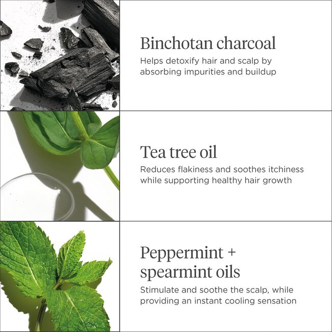 Scalp Revival Charcoal & Tea Tree Cooling Hydration Scalp Mask