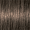6-06 Dark Blonde Natural Chocolate