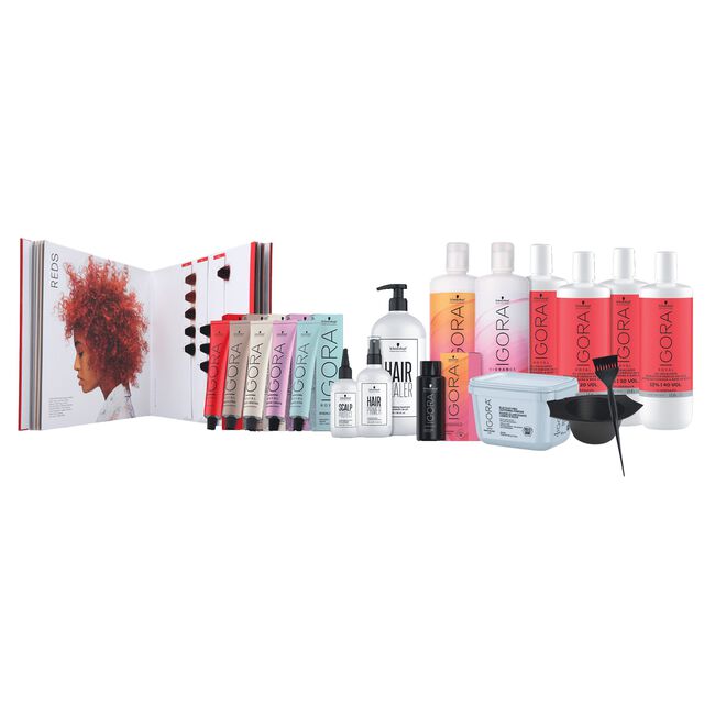 IGORA Royal Intro Kit