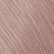 10BV Extra Light Beige Violet Blonde