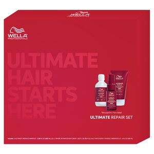 Ultimate Repair Holiday Kit