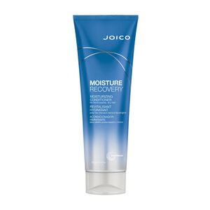 Moisture Recovery Moisturizing Conditioner