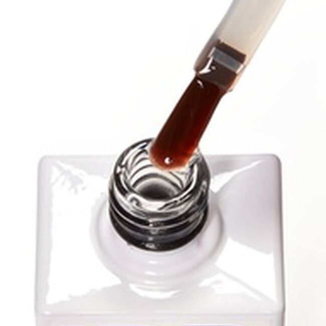 Intense Seal Top Coat