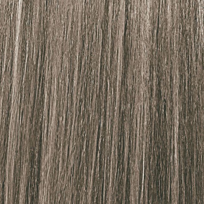 Antique Steel Tone & Gloss Ammonia-Free Demi-Permanent Cream Toner