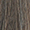 237T Medium Ash Brown