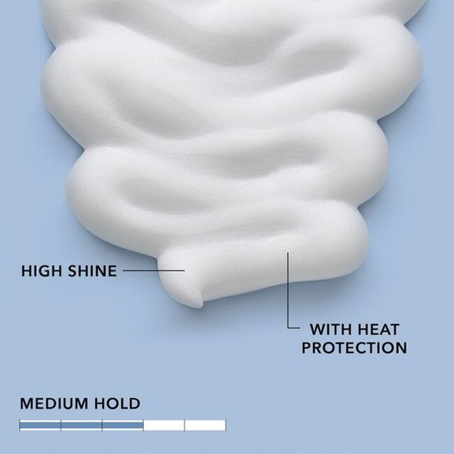 StyleSign Bodifying Brilliance Mousse