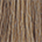 542 Ash Blonde