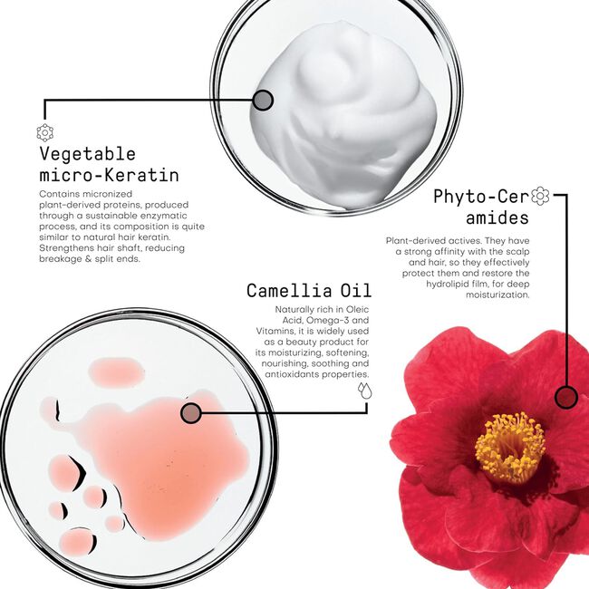 Morphosis Repair Rich Treatment