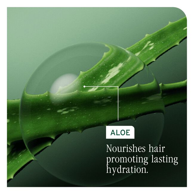 HydraSource Detangling Solution for Dry Hair
