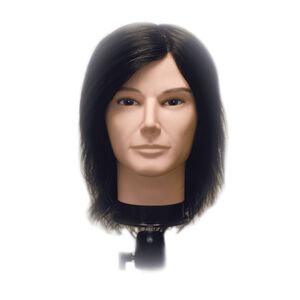 Celebrity Jake Budget Male Mannequin Head
