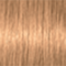 9-47 Extra Light Blonde Beige Copper