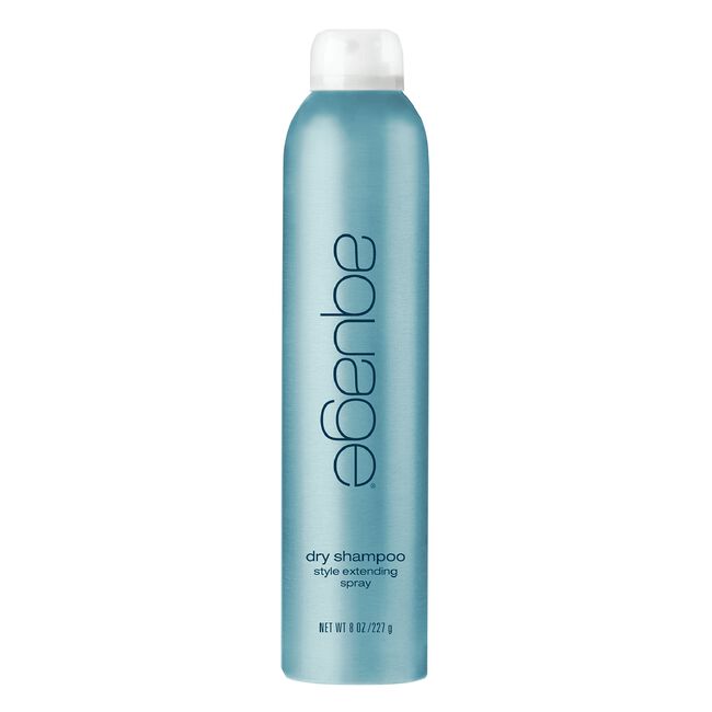 Dry Shampoo Style Extending Spray