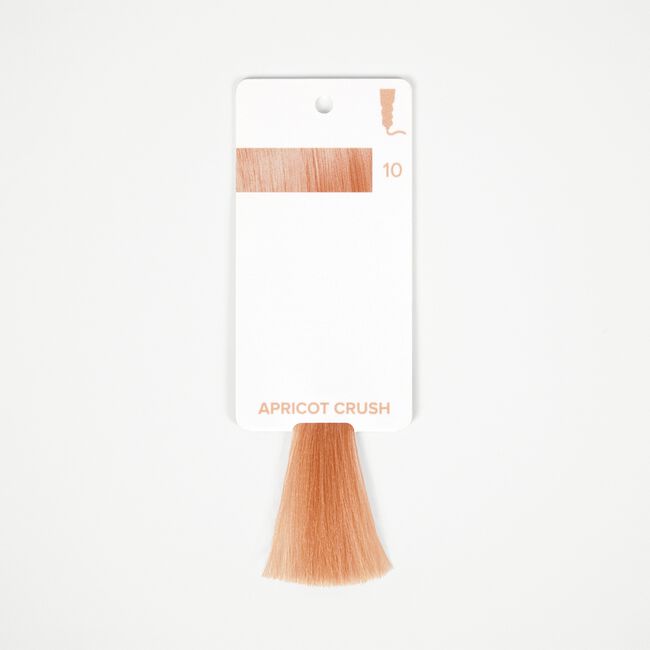 Colorways Swatch Ring w/ Apricot Crush Update