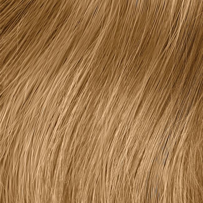 7Gb Gold Beige The Demi Demi-Permanent Hair Color