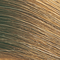 6G Dark Gold Blonde