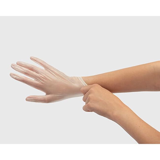 Medium Vinyl Powder Free Gloves