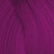 ChromaSilk VIVIDS Everlasting Shades